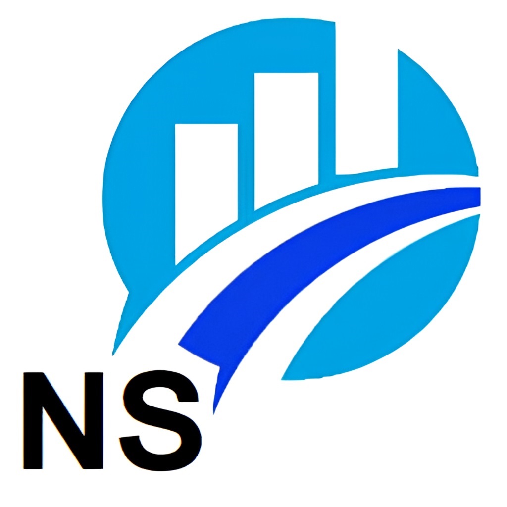 NS Transporte Corporativo Logo